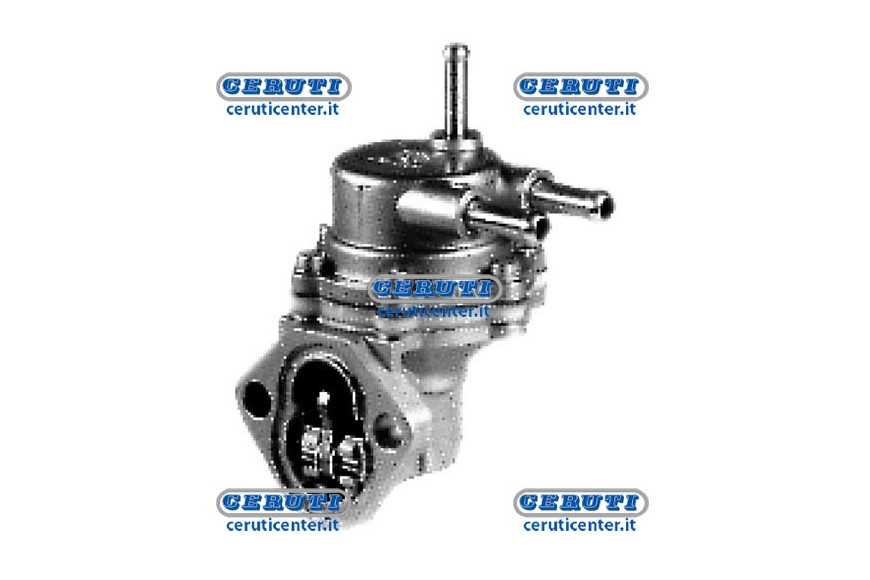 Membrane Pump Naphta Alimentation Lombardini