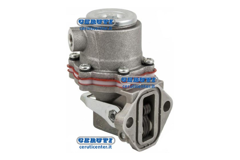 Membrane Pump Naphta Alimentation Lombardini
