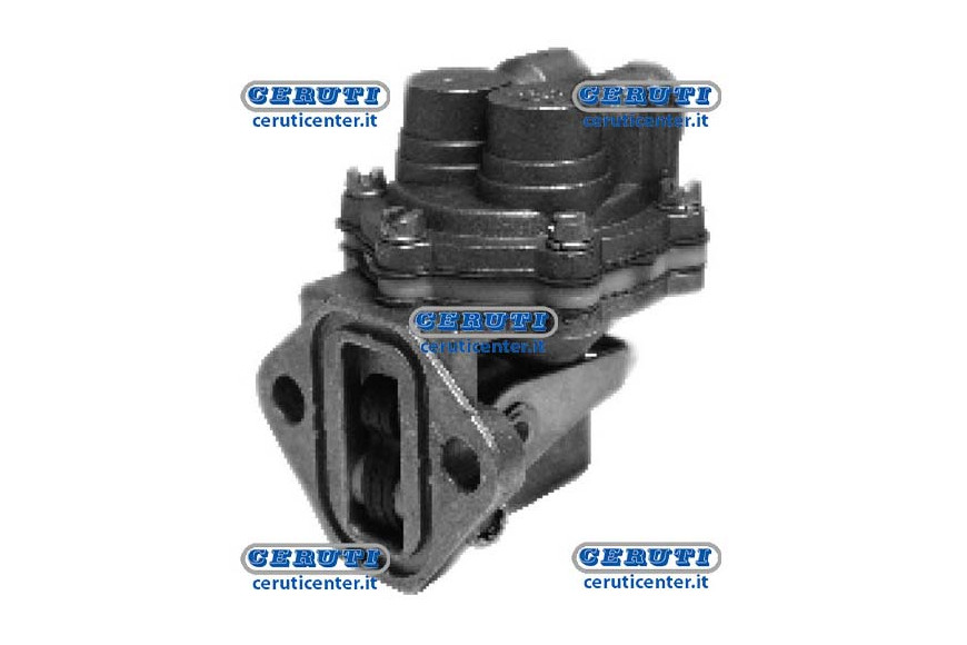 Membrane Pump Naphta Alimentation Lombardini