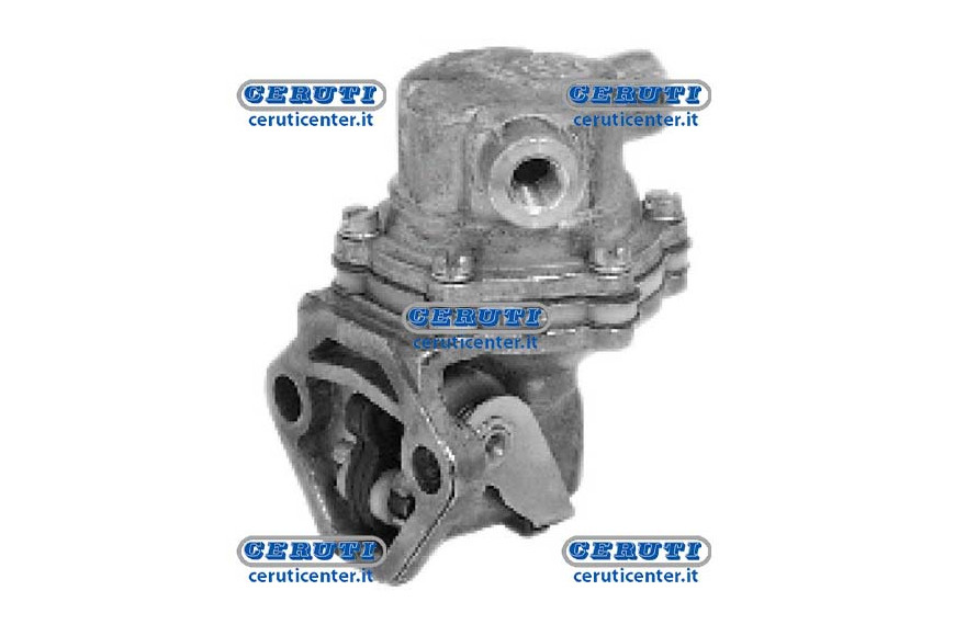 Membrane Pump Naphta Alimentation Lombardini, Ruggerini