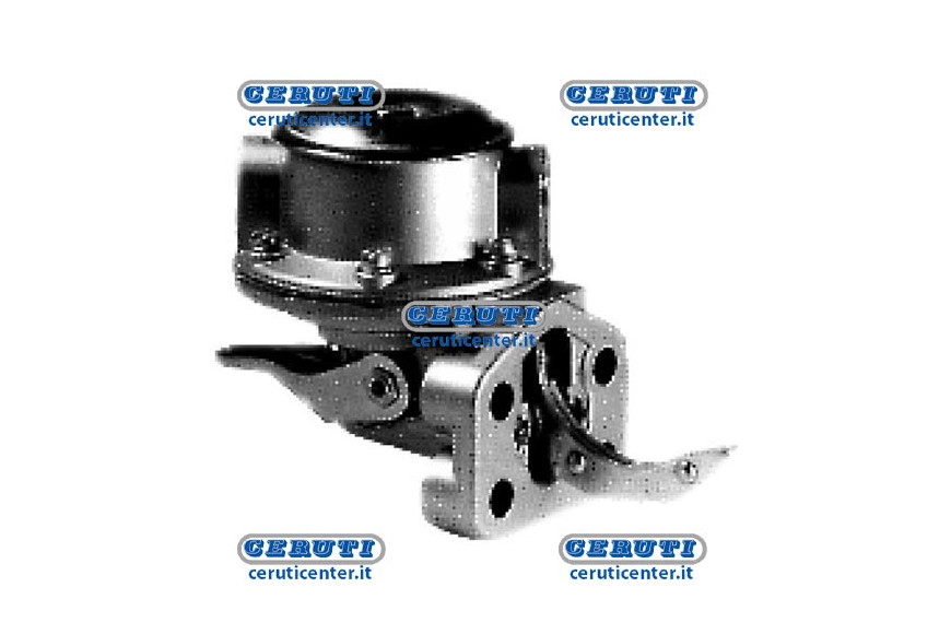 Membrane Pump Naphta Alimentation Perkins