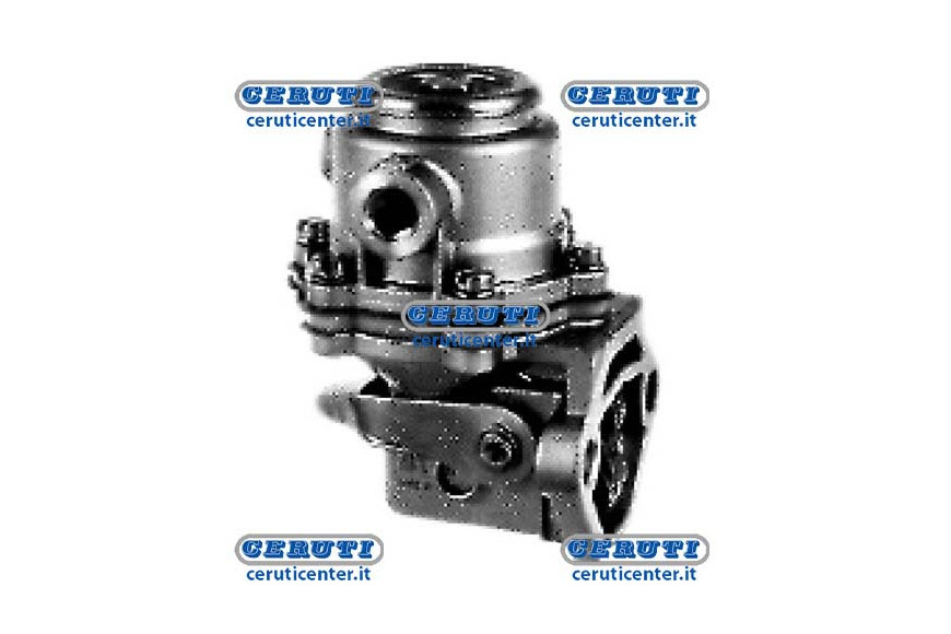 Membrane Pump Naphta Alimentation Carraro Spa