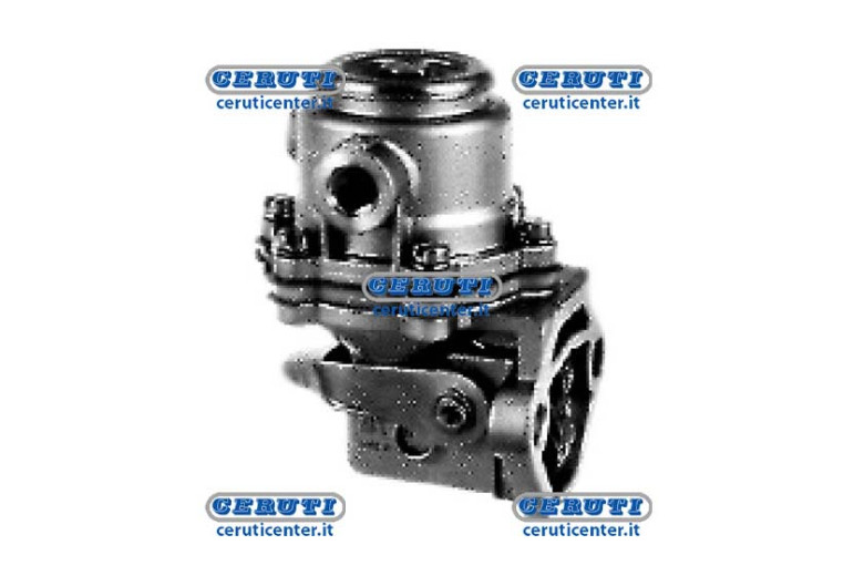 Membrane Pump Naphta Alimentation Carraro Spa