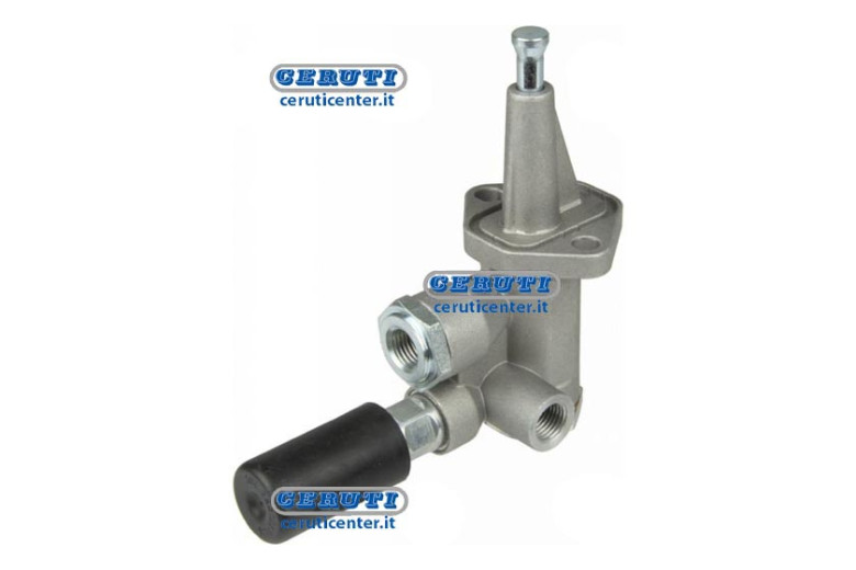 Membrane Pump Naphta Alimentation Lamborghini, Same