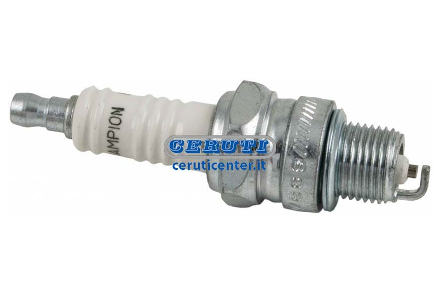 Lombardini Plug