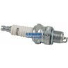Lombardini Plug