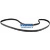 V Ceinture Primitivo Poli Développement 8Pk1550