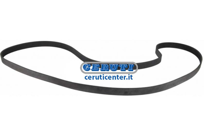 V Ceinture Primitivo Poli Développement 8Pk1473