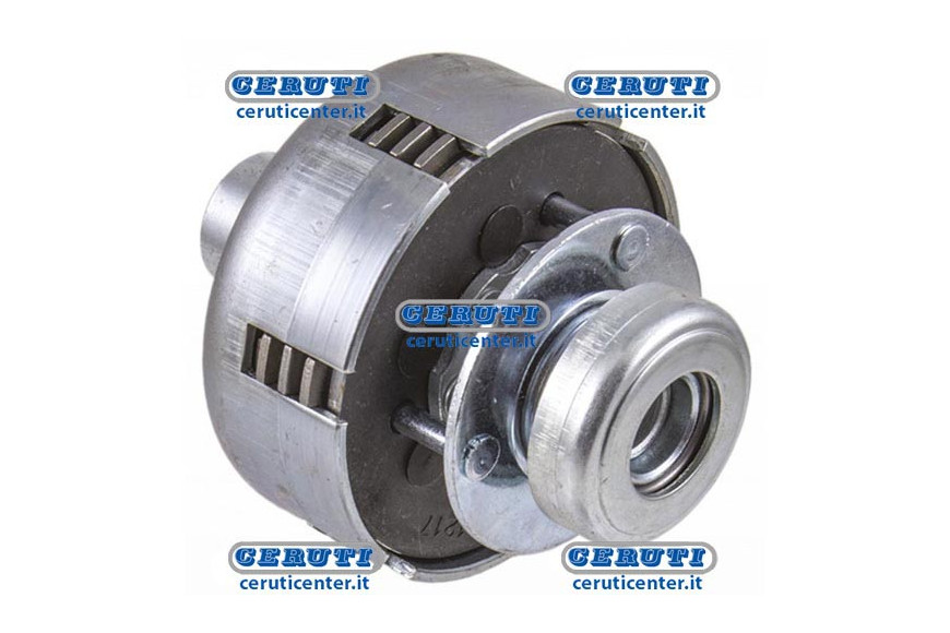 Embrayage Ø 100X117 Mm Dischi12X15Ev A 4-8 Cavealbero Ø19,05