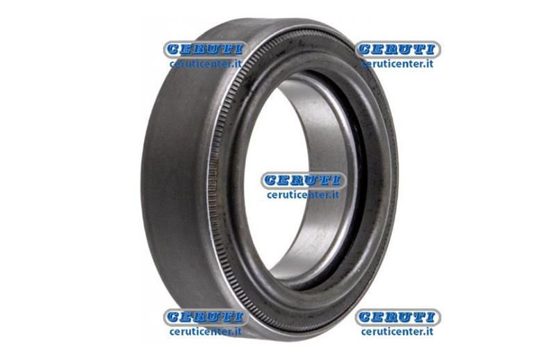Thrust Bearing