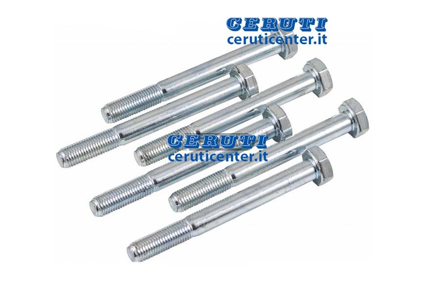 Tornillo 10X1,25X95 R10.9 (6 PC)