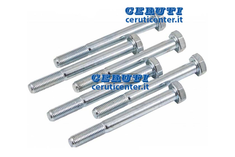 Tornillo 10X1,25X95 R10.9 (6 PC)