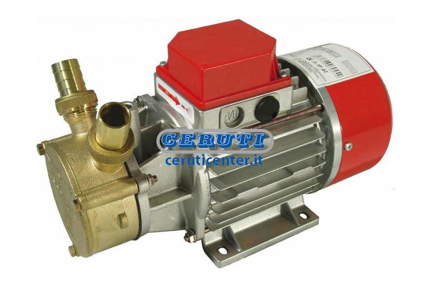Electrobomba Para Aceite - Gasoleo -Agua Dulce - Agua Salada - 12 V
