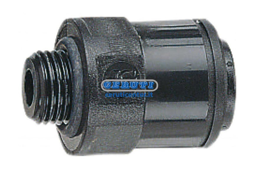 Terminale Diritto