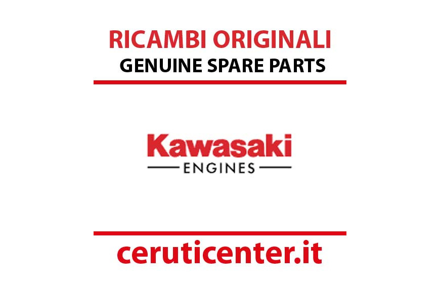 Bracket-Switch - Originale Kawasaki - 32059-2094