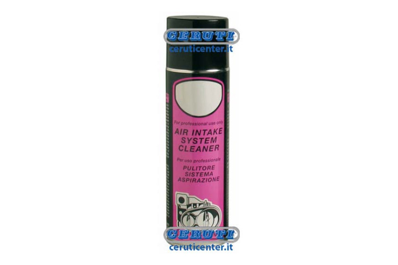 Reiniger Benzinsaugsystem - 500 Ml