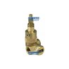 Check Valve Actuation With 3/4 "