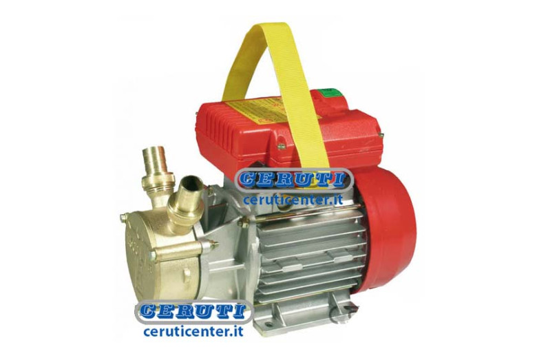 Elektropumpe Einphasig - Mit Heft Leistung 0,45 Hp Material Bronze