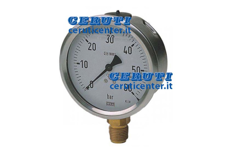 Manometros Con Glicerina Diámetro 100 Mm Caja Inox Escalera 0÷60 Bar