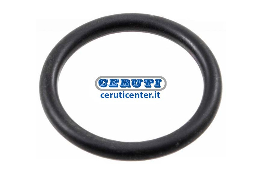 Tank O-Ring/Gasket