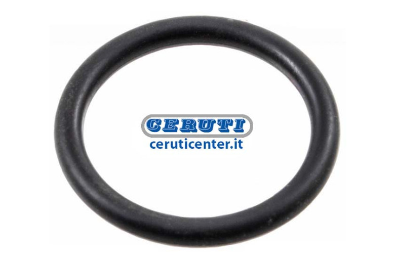 O-Ring/Tankdichtung