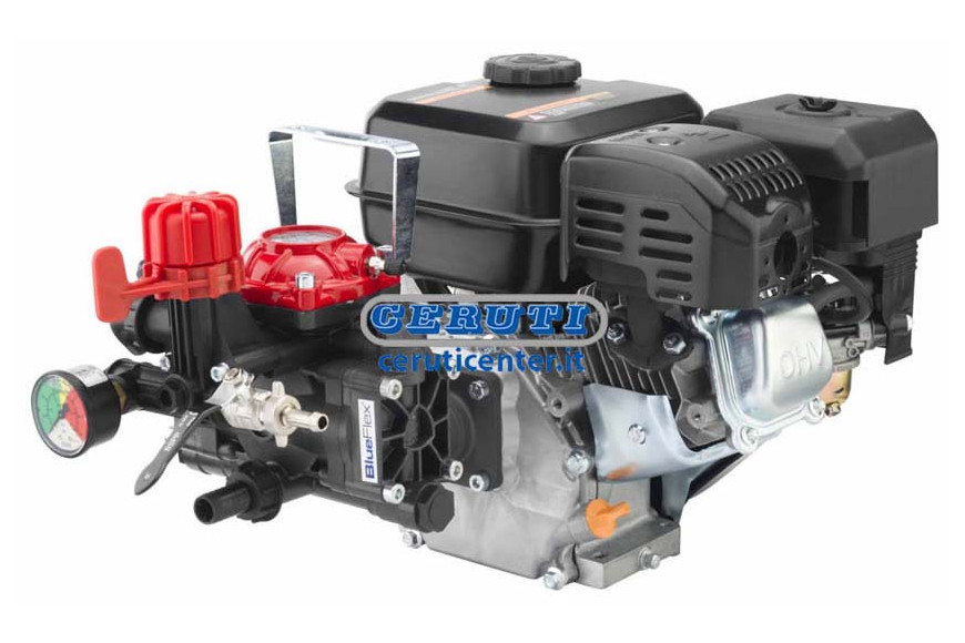 Motopompe Ar 252/Rato 4T 4 Ch 2 Membranes Avec Manometre Avec Regulateur De Pression Moteur Rato Ehr 180 4T - 6 Hp