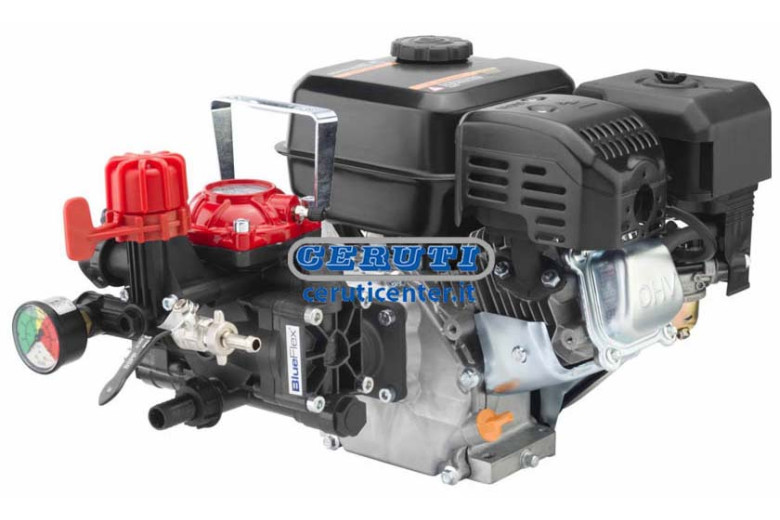 Motopompe Ar 252/Rato 4T 4 Ch 2 Membranes Avec Manometre Avec Regulateur De Pression Moteur Rato Ehr 180 4T - 6 Hp