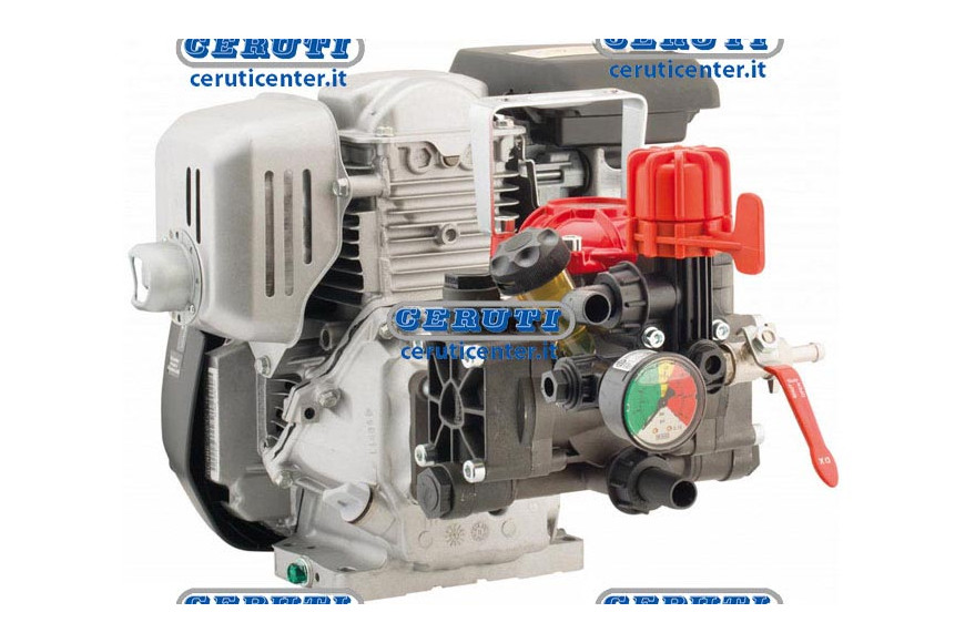 Motobomba Ar 252/Honda 4T 4,8 Hp 2 Membranas Con Manometro Con Regulador De Presión Motor Honda Gp 160 4T - 4,8 Hp