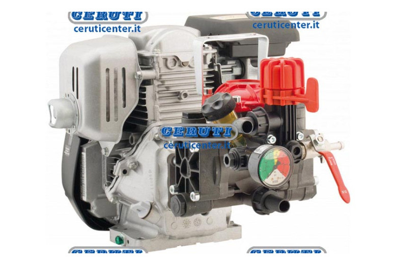 Motopompe Ar 252/Honda 4T 4,8 Ch 2 Membranes Avec Manometre Avec Regulateur De Pression Moteur Honda Gp 160 4T - 4,8 Hp