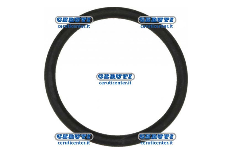 Or 2,62 X 28,25 - O-Ring
