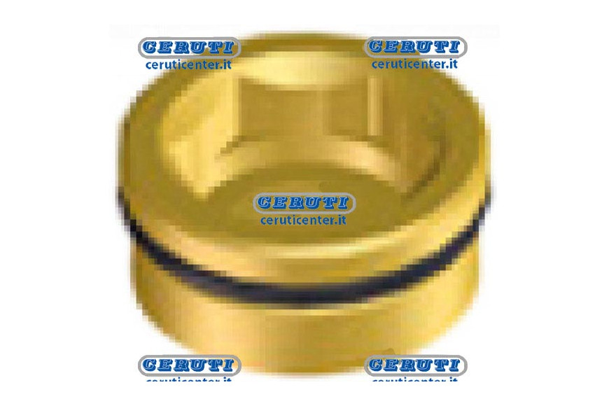 Bouchon Pour M200 G3/4 M (Filetage Gauche)