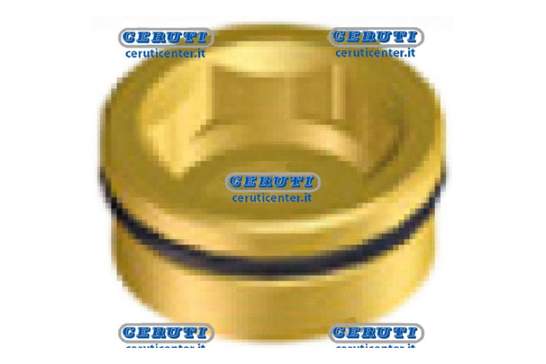 Bouchon Pour M200 G3/4 M (Filetage Gauche)
