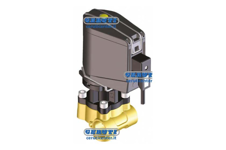 Regulateur M202 40 Bar