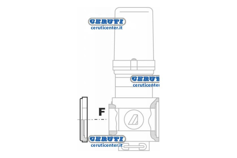 Closed Flange For valves Series 463/863