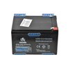 Batteria Per Pompa 26829