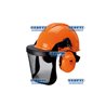 Elmetto Forestale 3M Completo Di Cuffie E Visiera In Rete