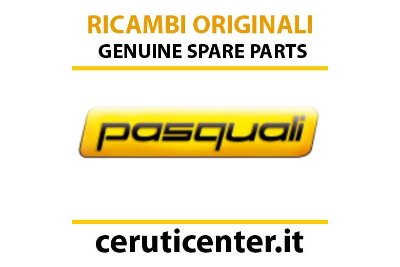 Spring C 7,0X 19D0,75 - BCS genuine -  P404135010000