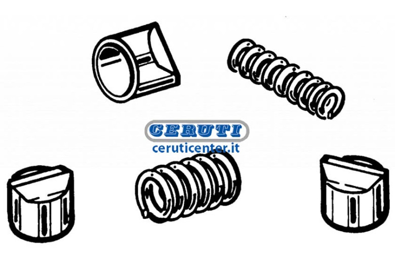 Pawls With Internal And External Springs (8 Pawls)