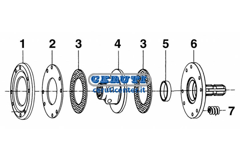 Avec Bride Mâle