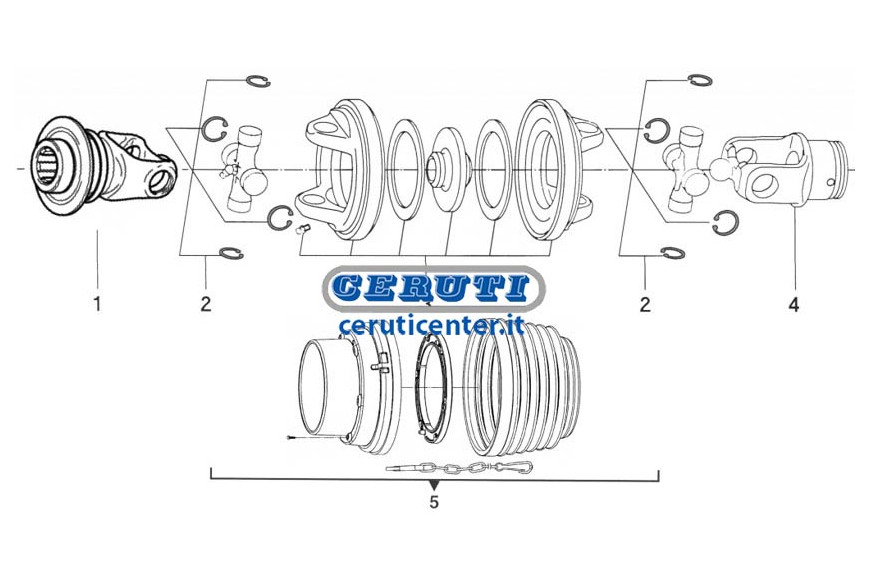 Cuerpo Central