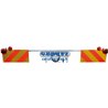 www.ceruticenter.it/22557-small_default/r.jpg