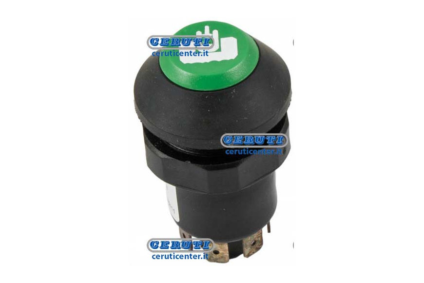 Pneutron Type Switches