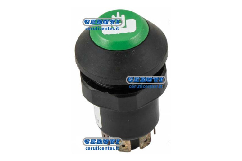 Pneutron Type Switches