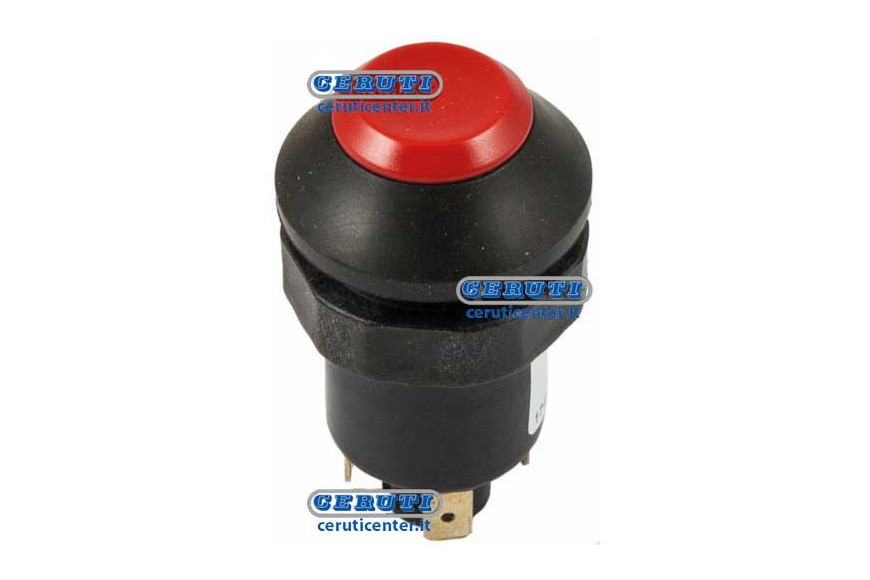 Pneutron Type Switches