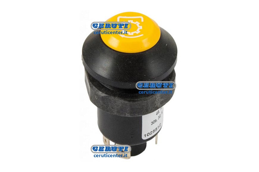 Pneutron Type Switches