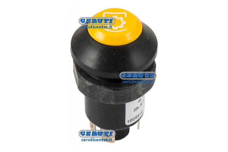 Pneutron Type Switches