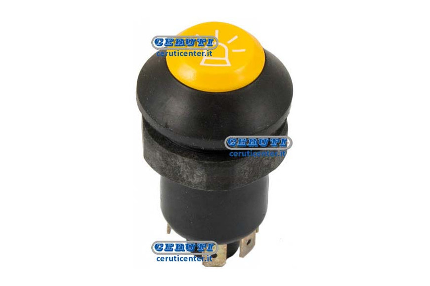 Pneutron Type Switches