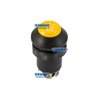 Pneutron Type Switches