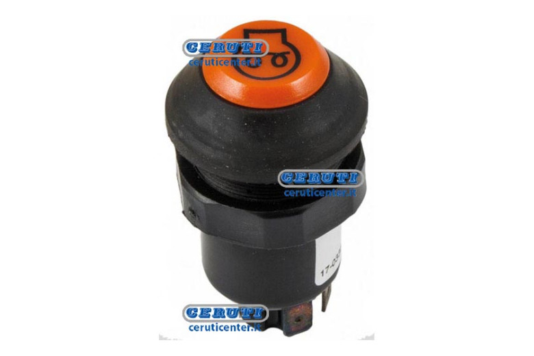 Pneutron Type Switches