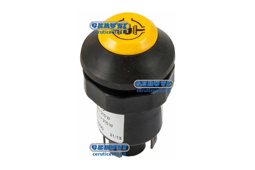 Pneutron Type Switches